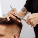 CORTE CORTE